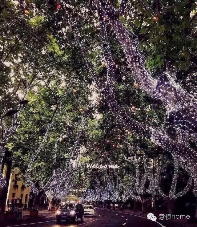 1481796191317511.jpg 4-20.webp.jpg