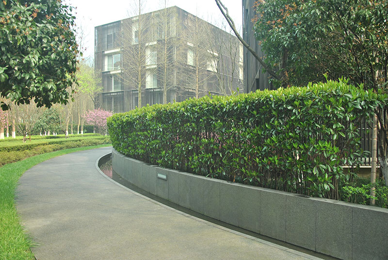 1491461428835059.jpg 小區(qū)2.jpg