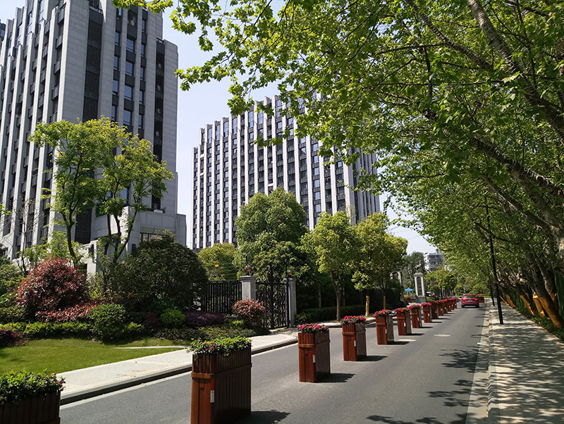 1492496030754948.jpg 10.jpg