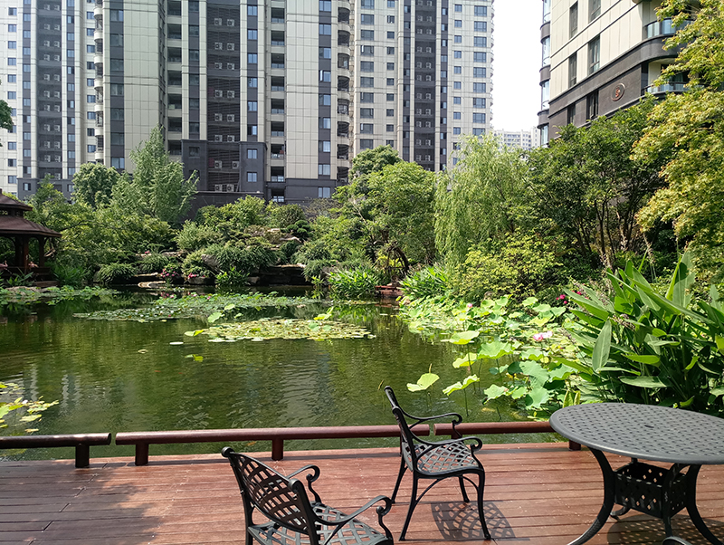 1498636386710596.jpg P70615-100249.jpg