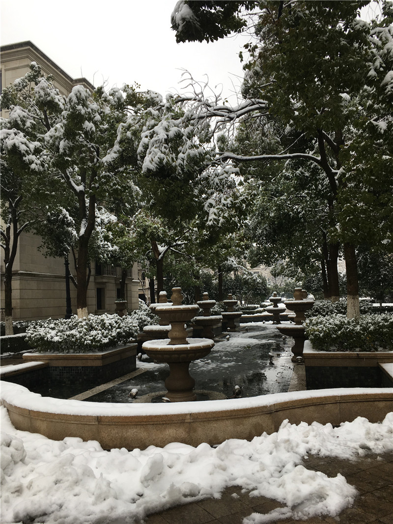 1519454645657286.jpg IMG_2113.JPG