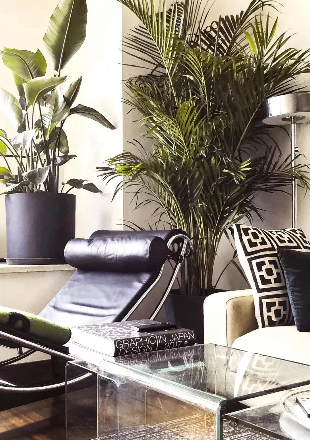 1526631448280918.jpg 微信圖片_20180508155411.jpg