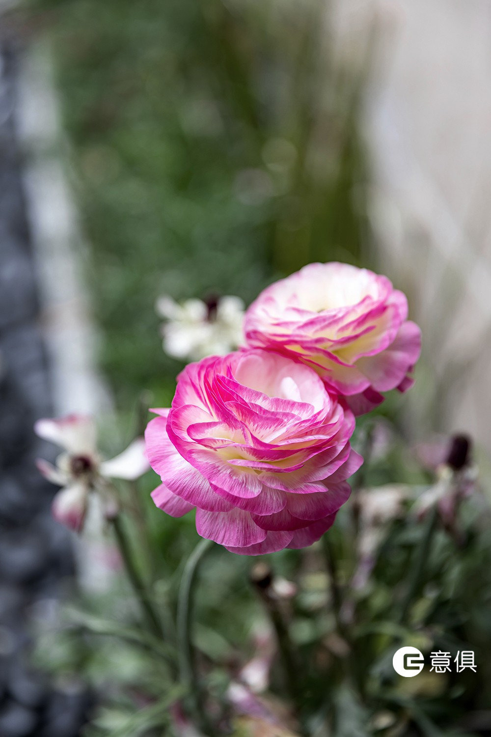 1591176130865241.jpg mxcp_1589358712725_1589185474464744.jpg