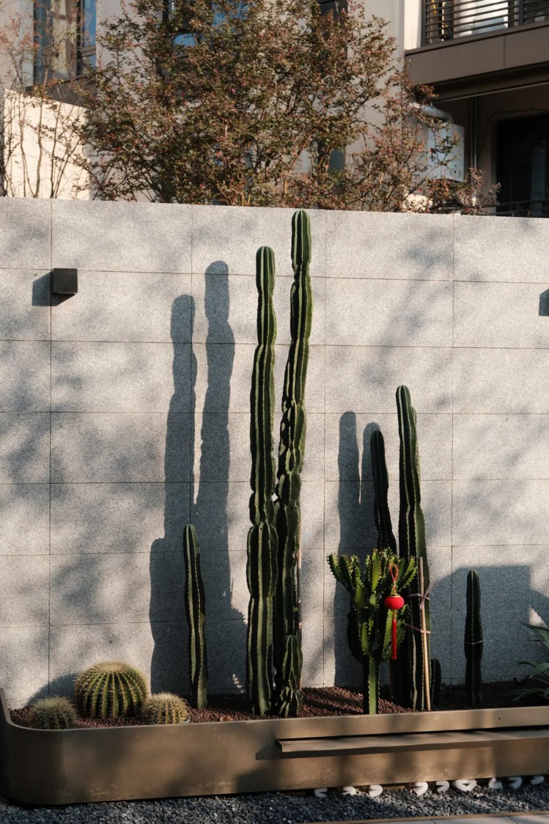 1701049742716112.jpg 640 (2).jpg