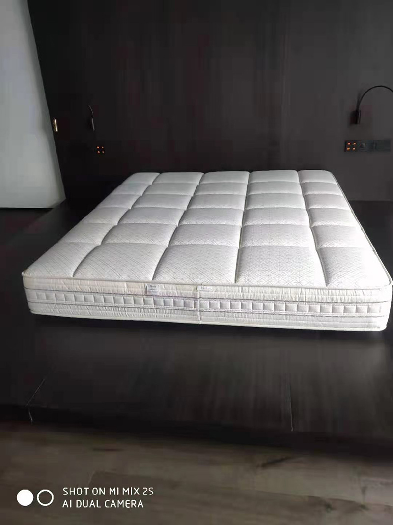 1708332782118803.jpg mmexport1611731954555.jpg