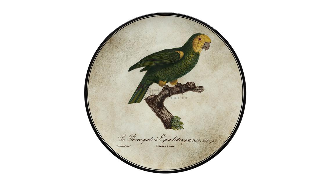 PIATTO DA MURO6盤子