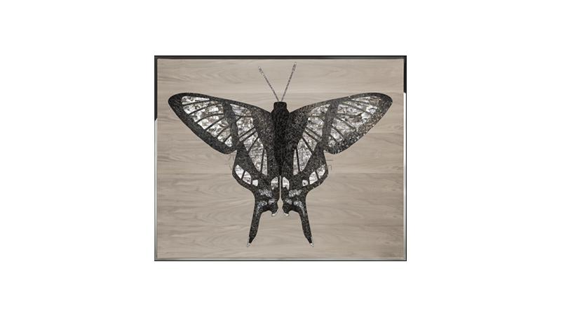 VISIONNAIREDanaus藝術(shù)畫