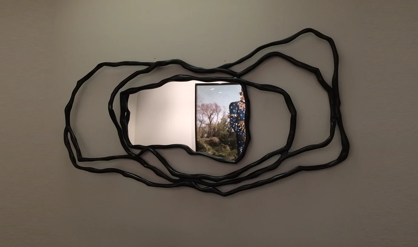 PAUL MATHIEUARIA mirror鏡子