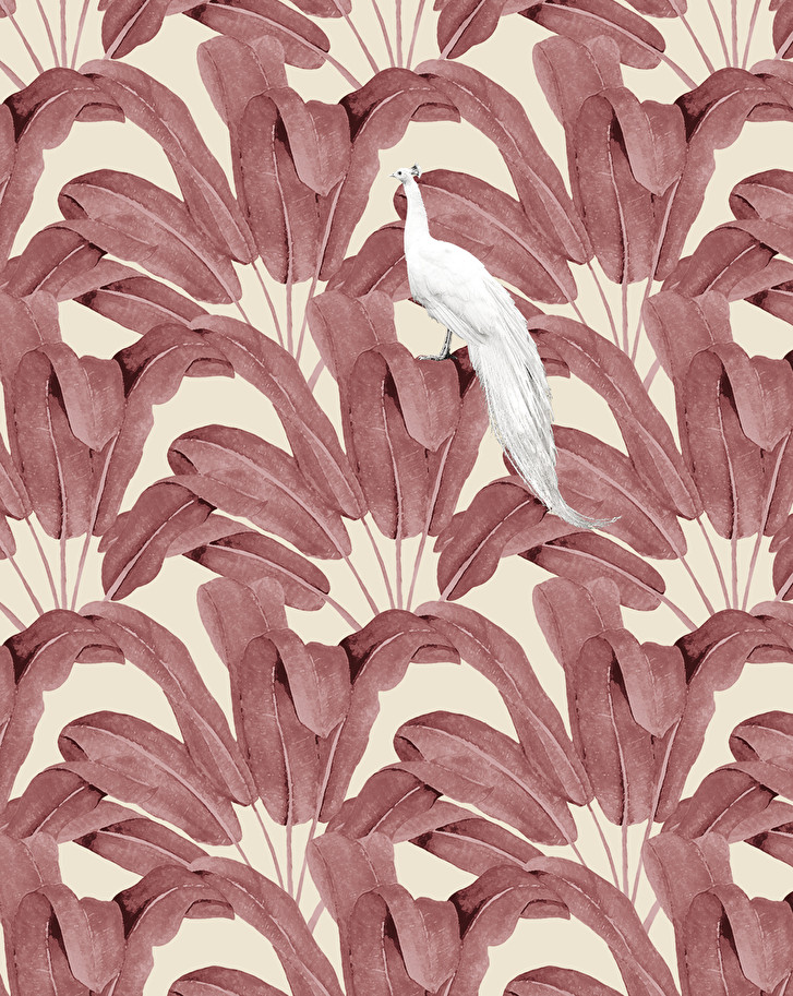 Devon&DevonParadisea Red Wallpaper墻紙