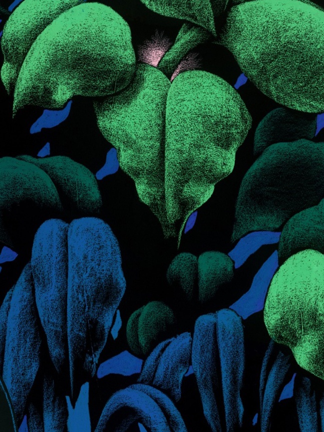 MoustacheKrabi wallpaper墻紙