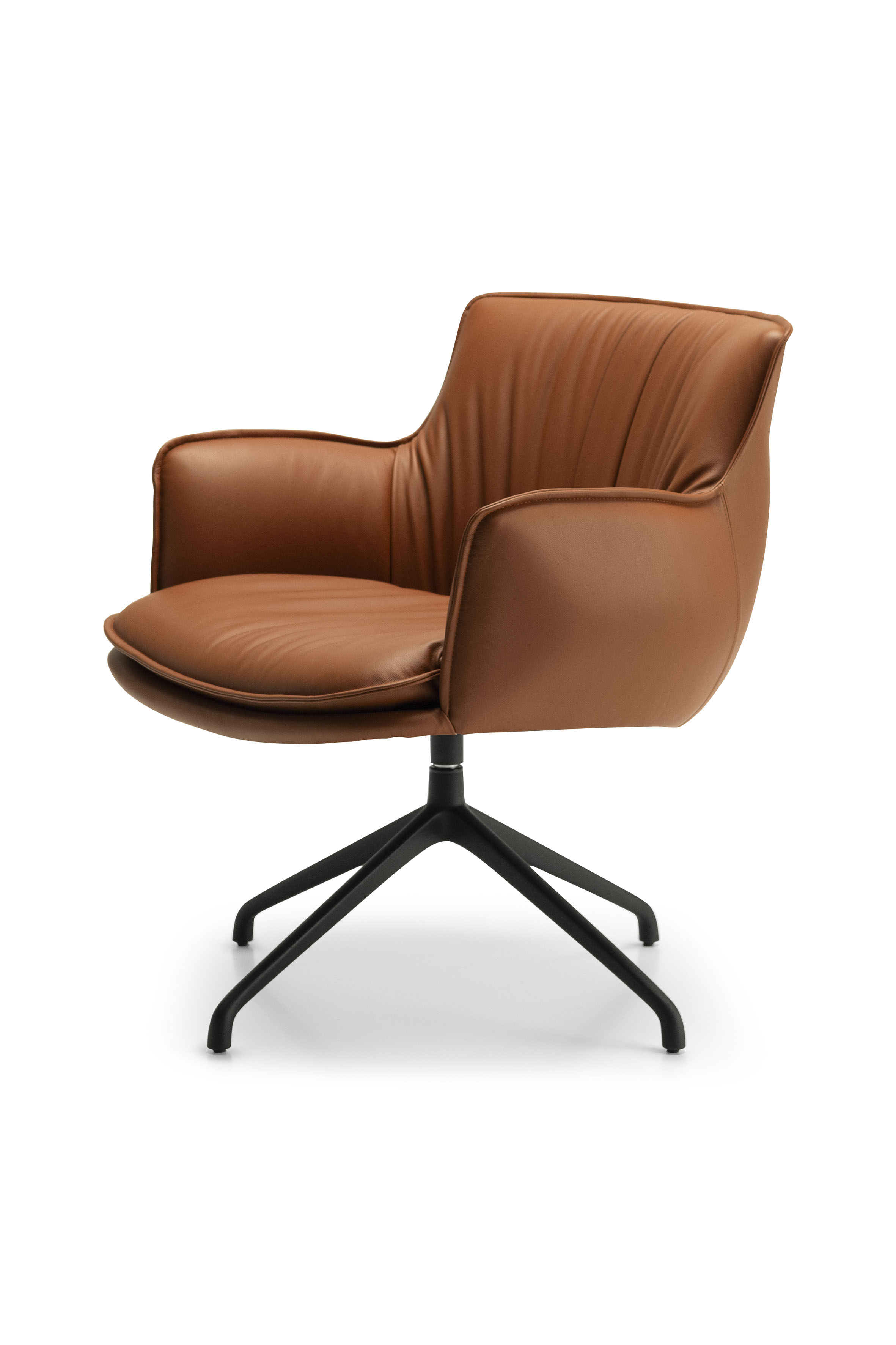 CATTELAN ITALIARHONDA Lounge餐椅