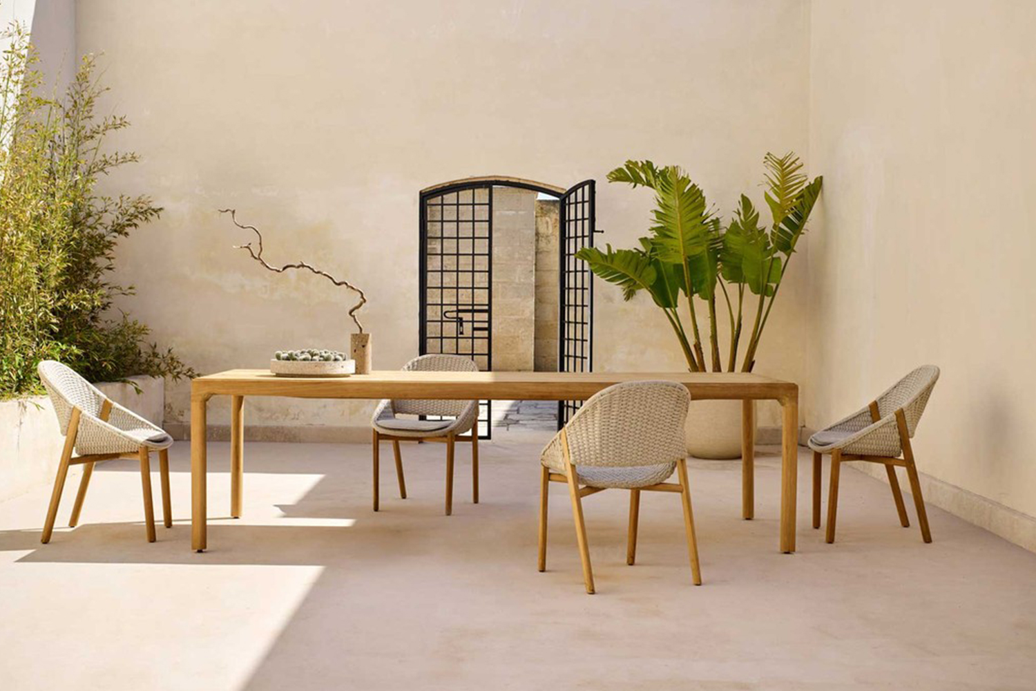 TRIBU優(yōu)雅獨(dú)特